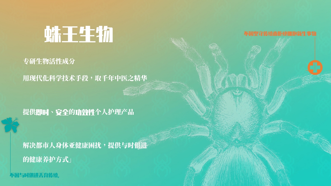 品牌手册丨轻中医 新健康 蛛王品牌手册.pdf