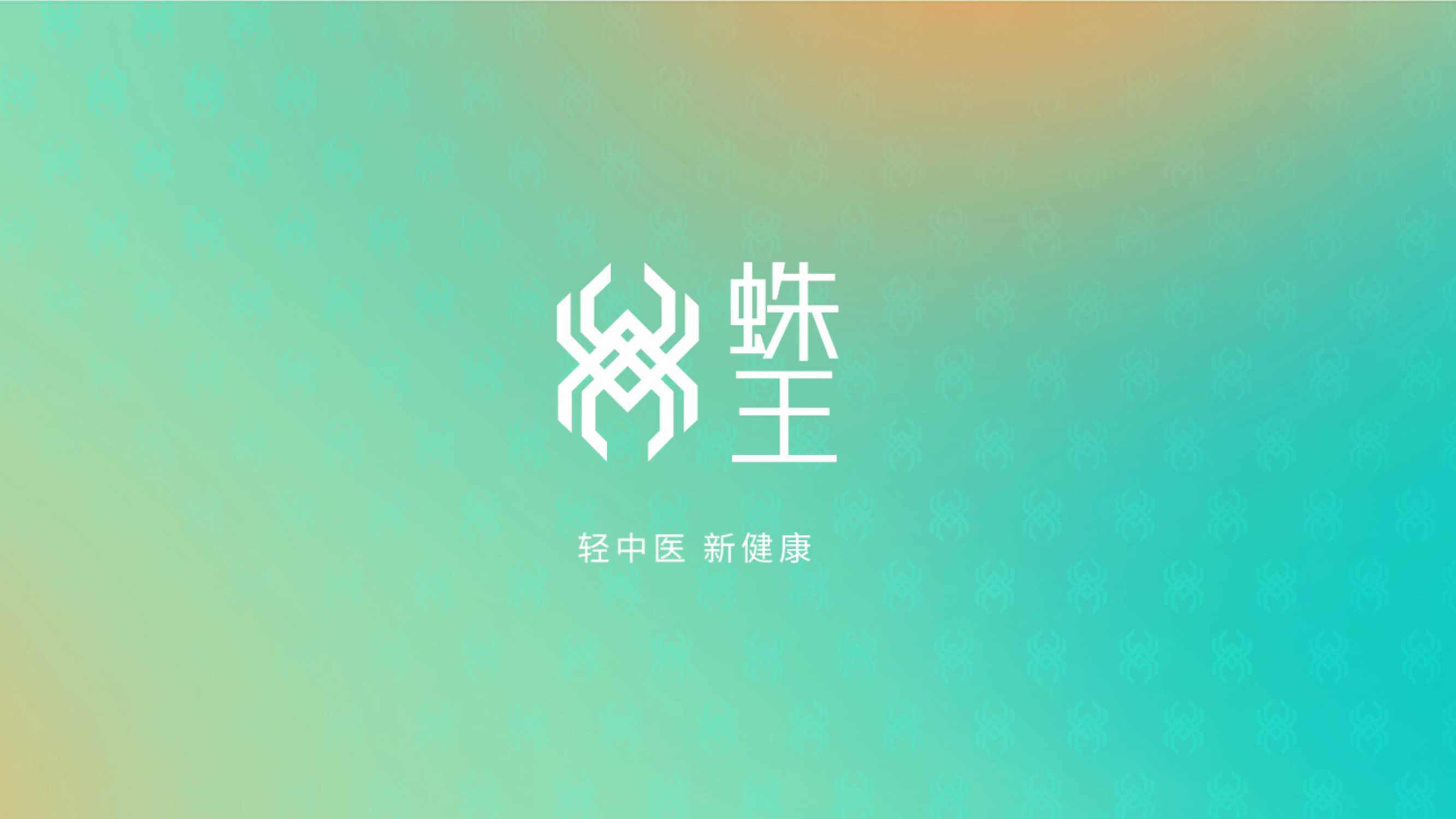 品牌手册丨轻中医 新健康 蛛王品牌手册.pdf