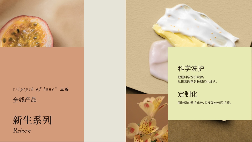 三谷电子版品牌手册.pdf