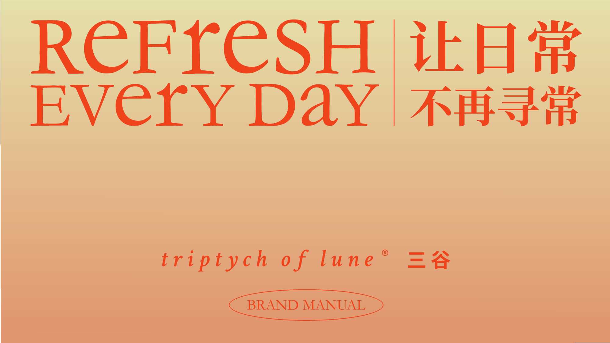 三谷电子版品牌手册.pdf