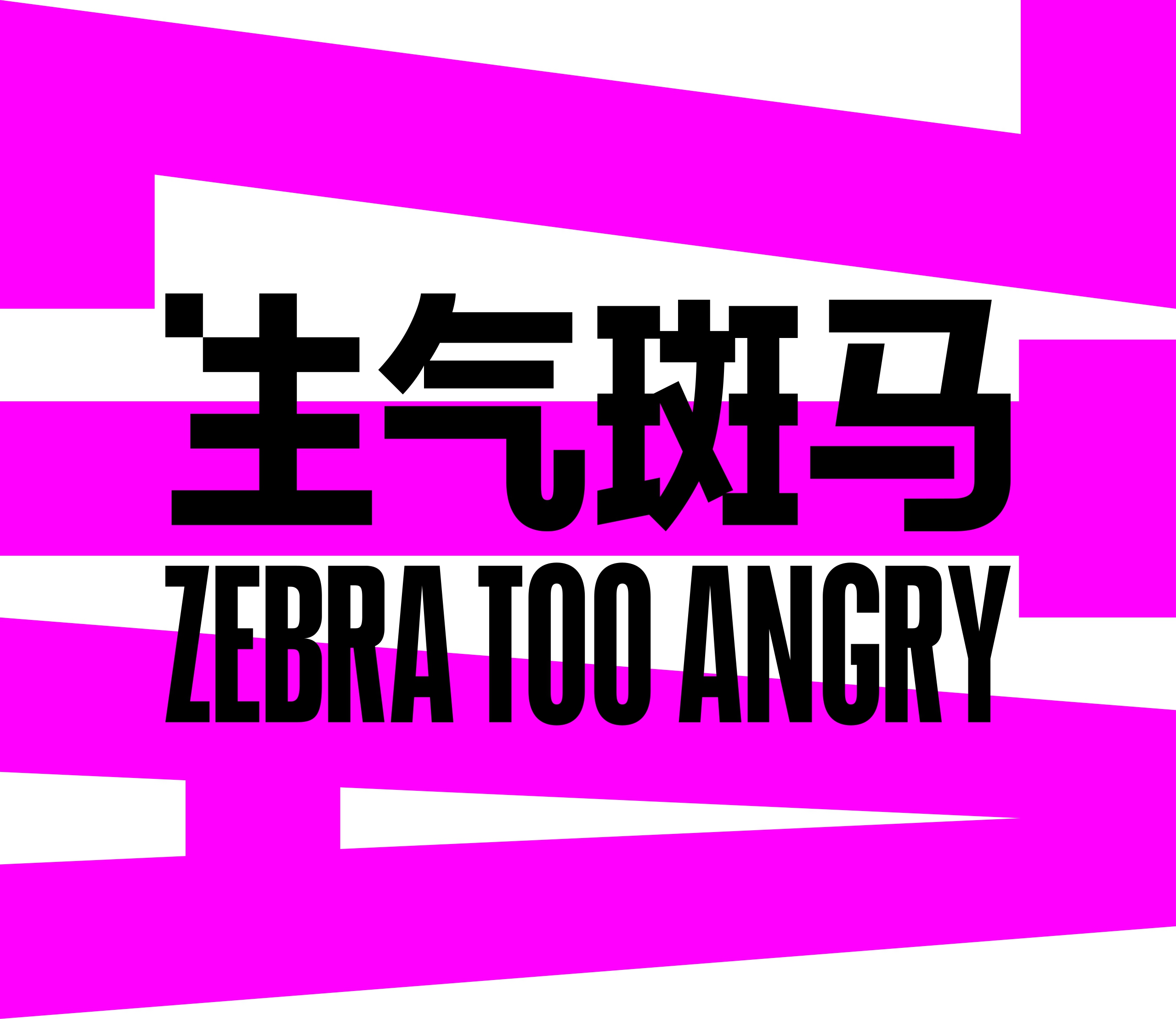 生气斑马ZTA 品牌介绍.pdf