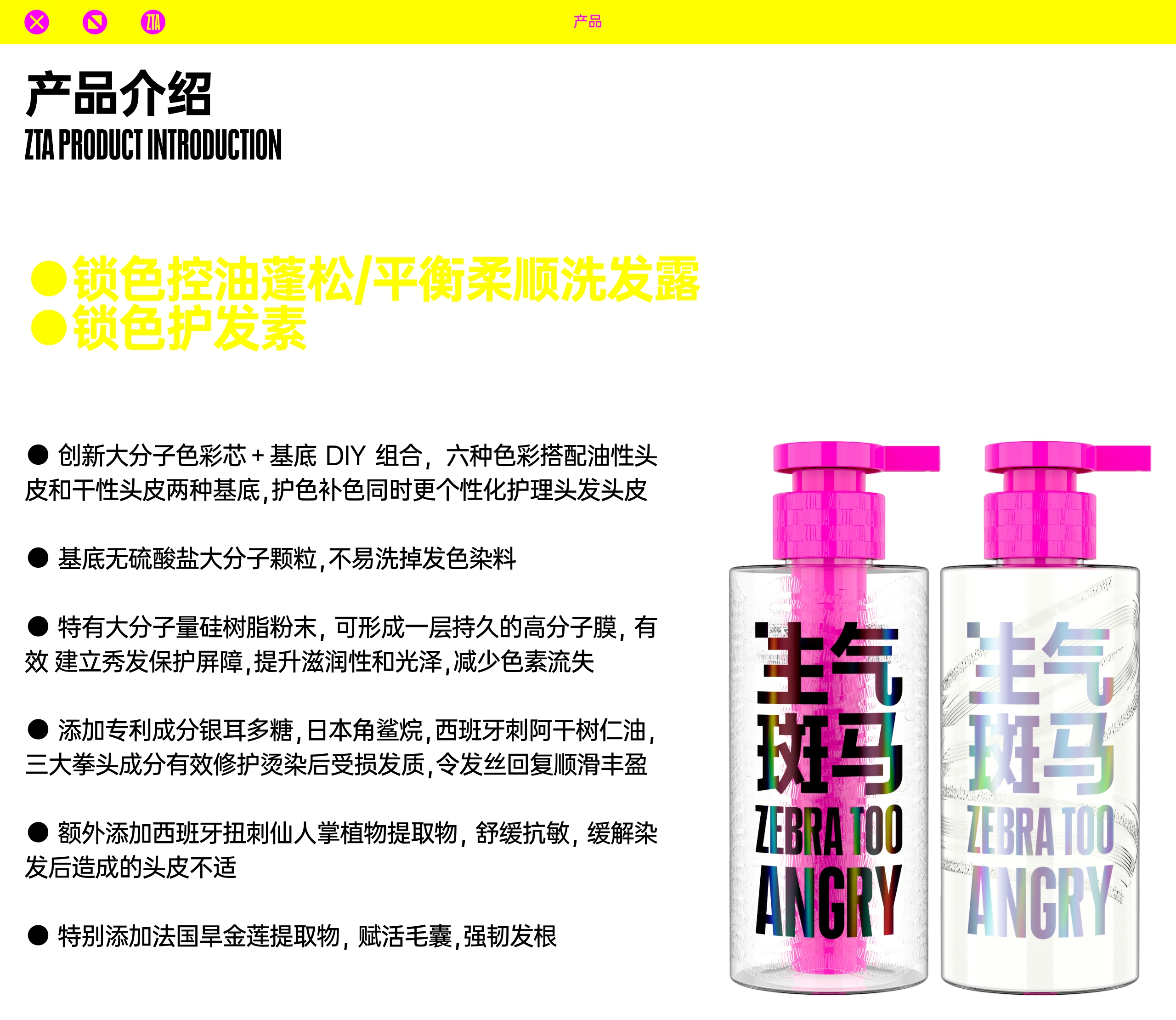 生气斑马ZTA 品牌介绍.pdf