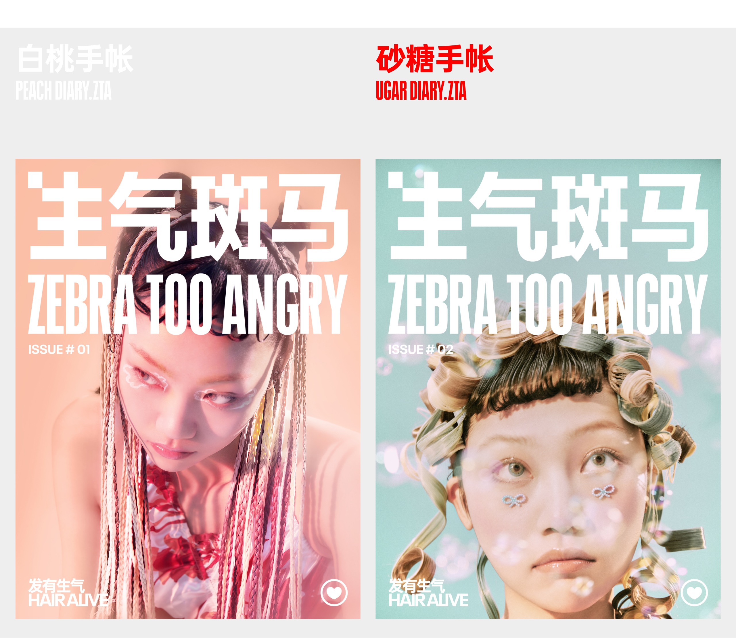 生气斑马ZTA 品牌介绍.pdf