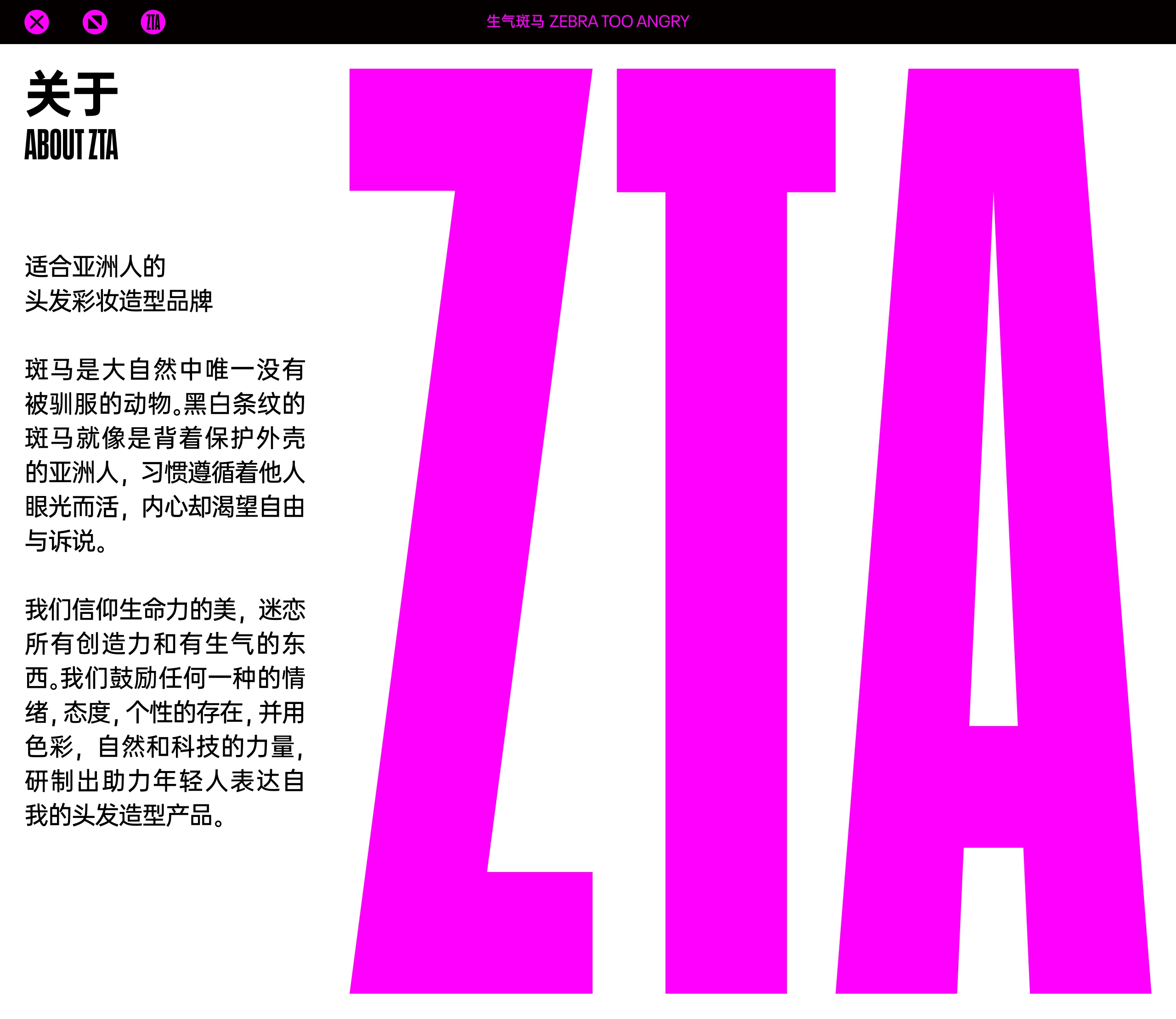 生气斑马ZTA 品牌介绍.pdf