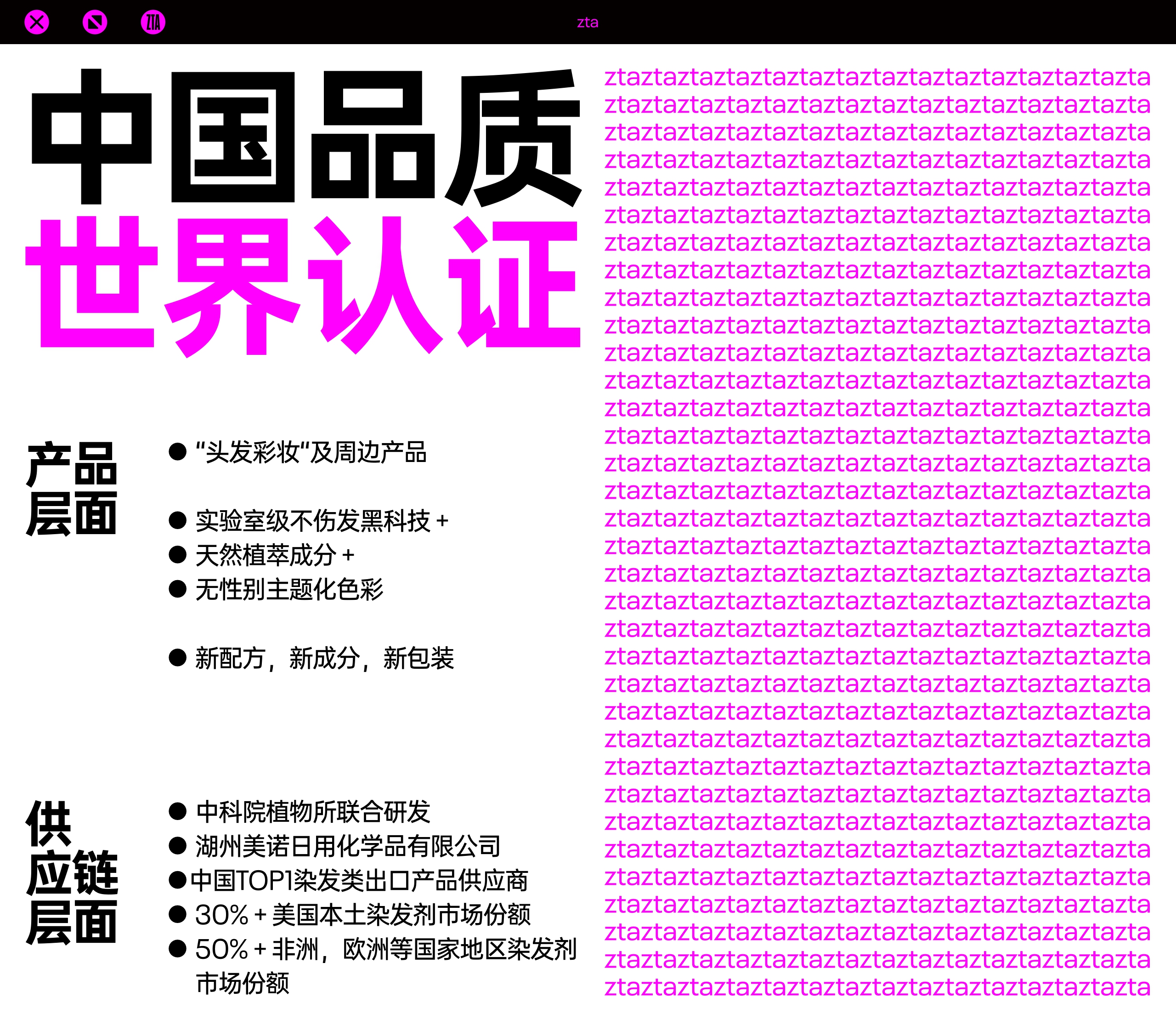 生气斑马ZTA 品牌介绍.pdf