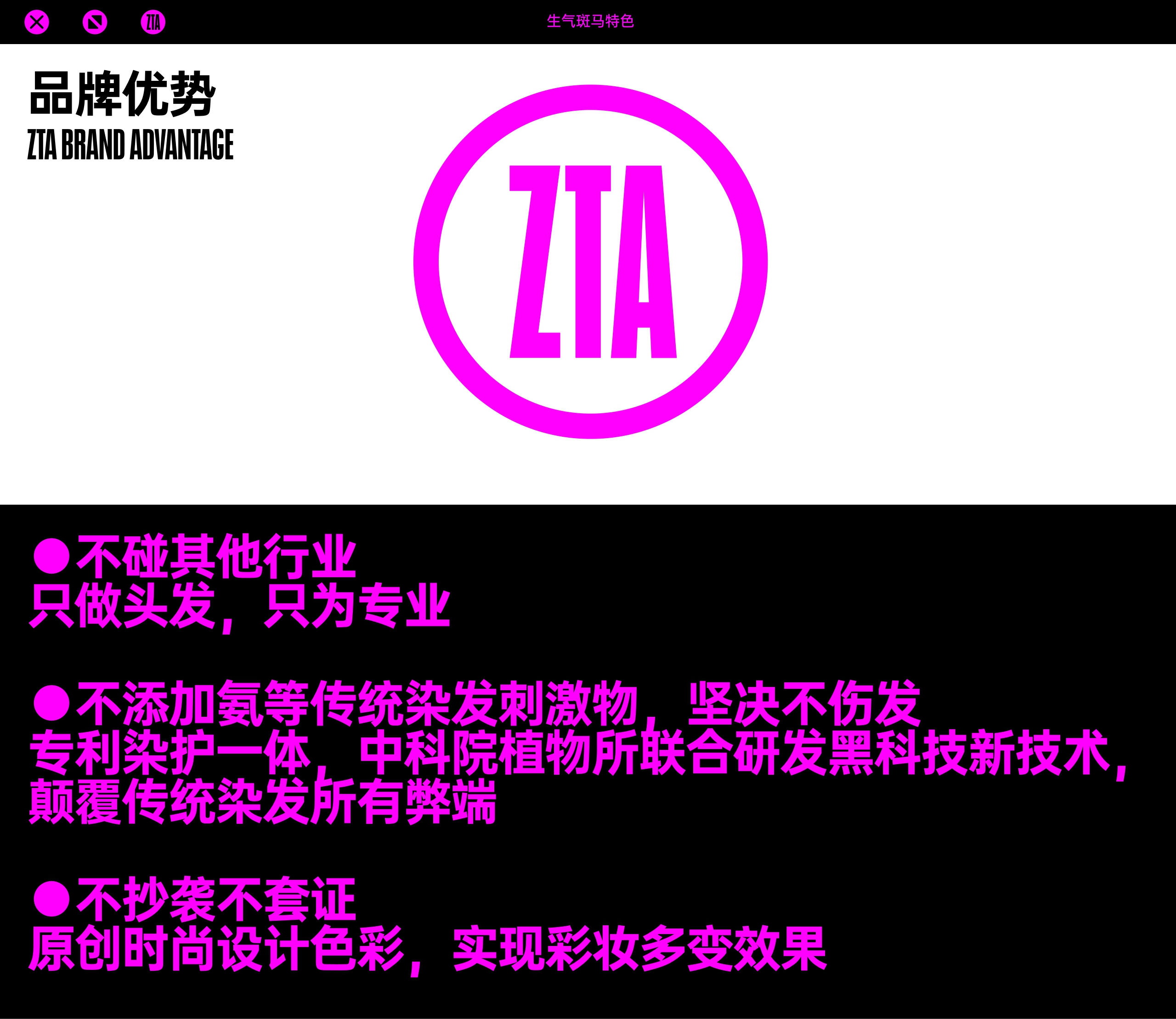 生气斑马ZTA 品牌介绍.pdf