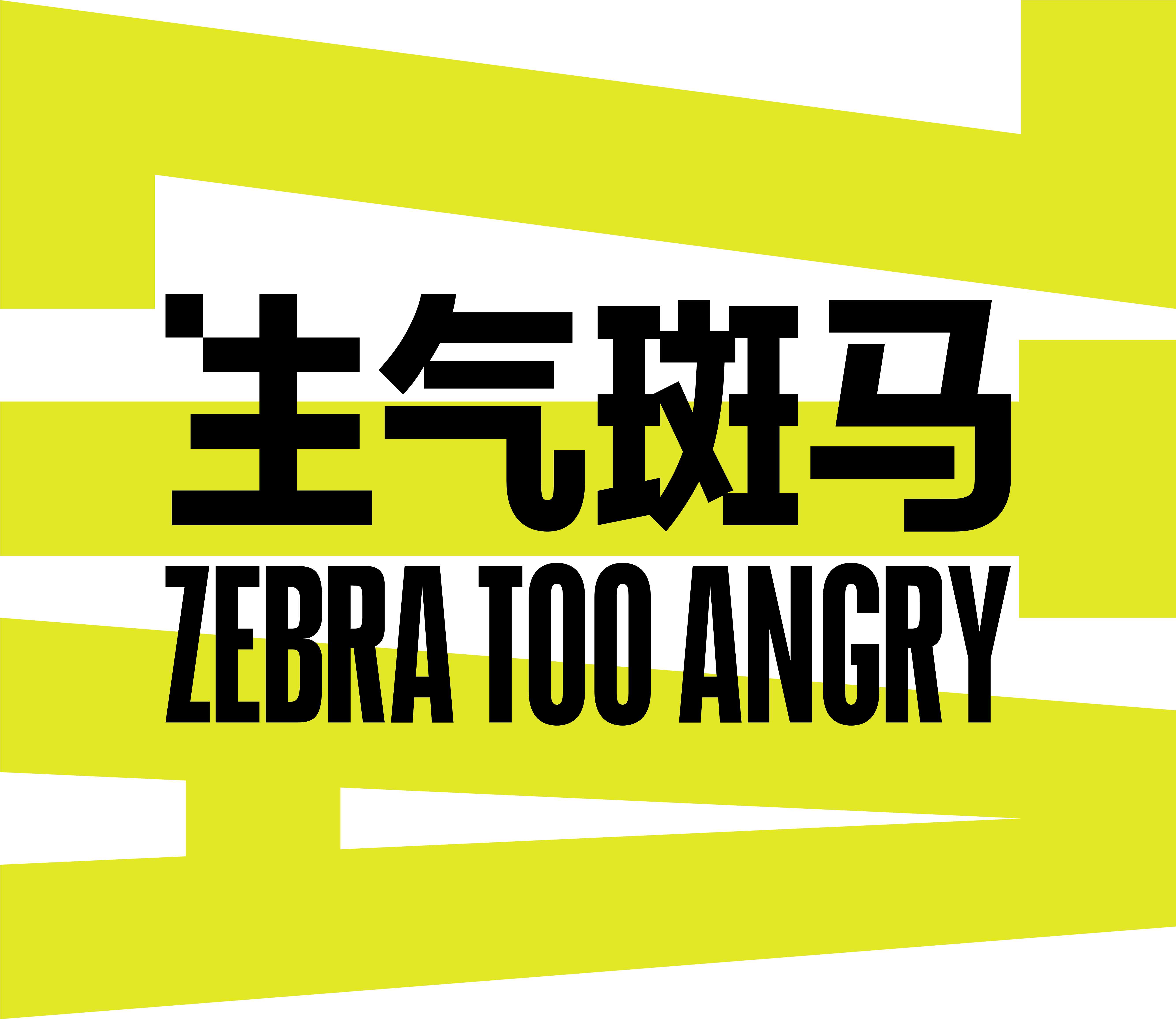 生气斑马ZTA 品牌介绍.pdf