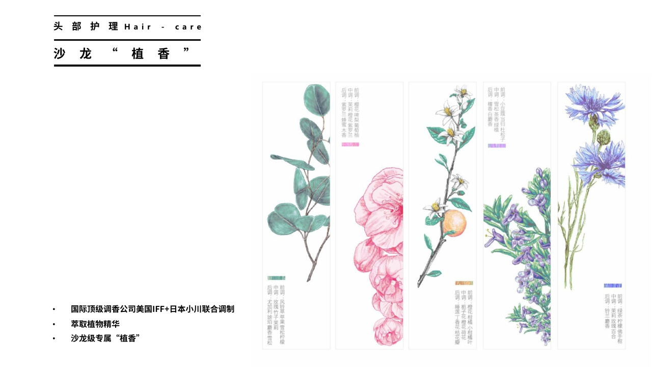 植观品牌资料.pdf