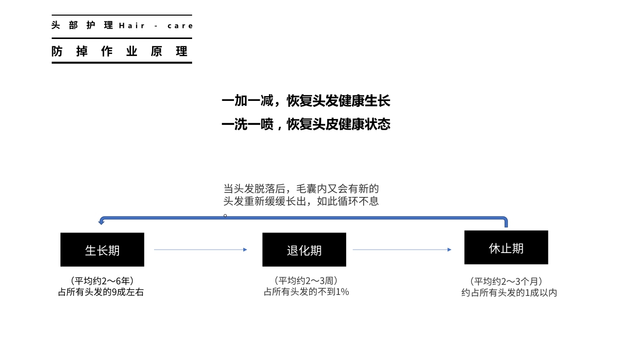 植观品牌资料.pdf