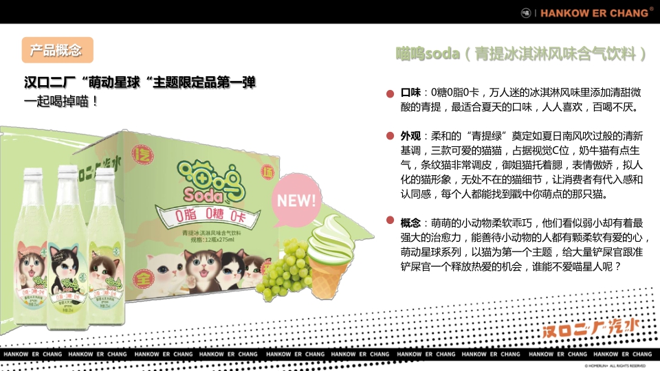 “舌尖上的国潮引领者”汉口二厂汽水品牌手册.pdf