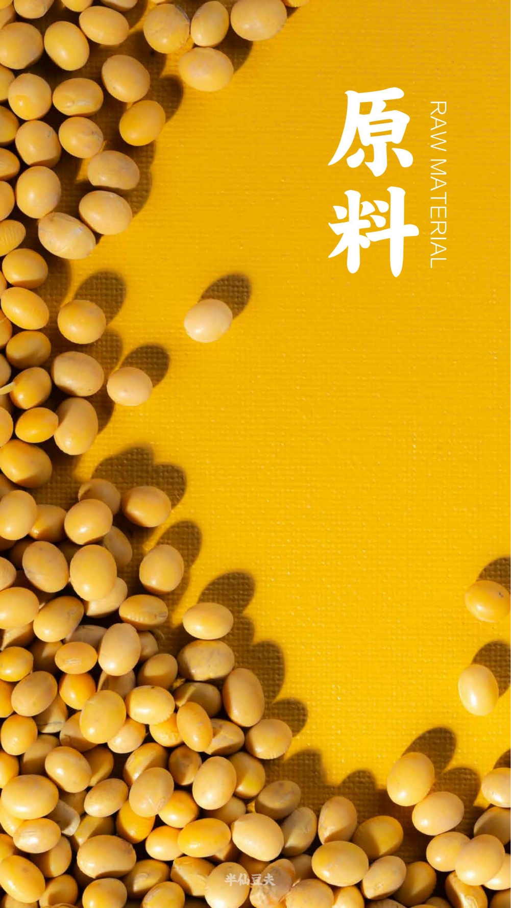 半仙豆夫品牌手册.pdf