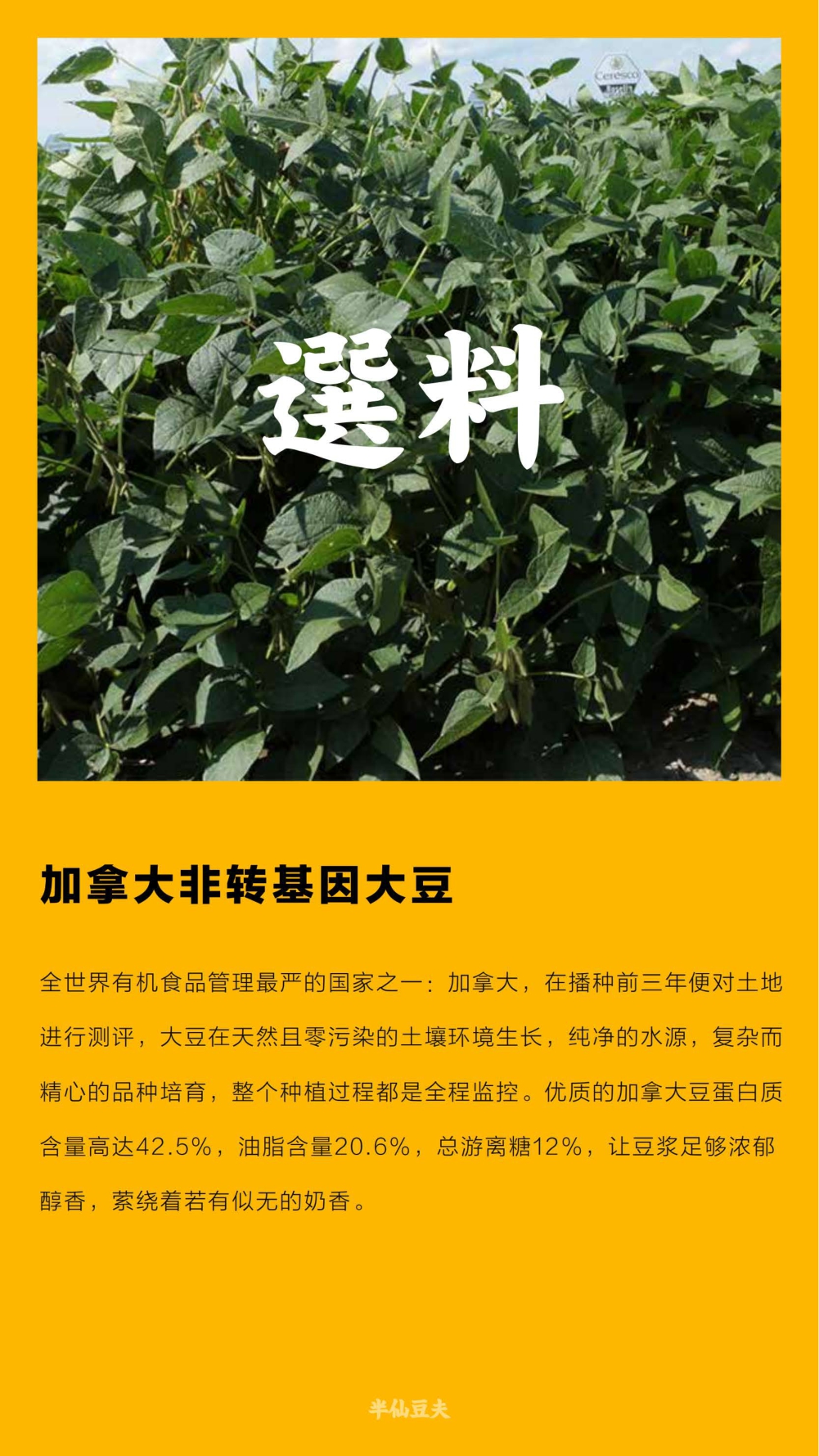 半仙豆夫品牌手册.pdf