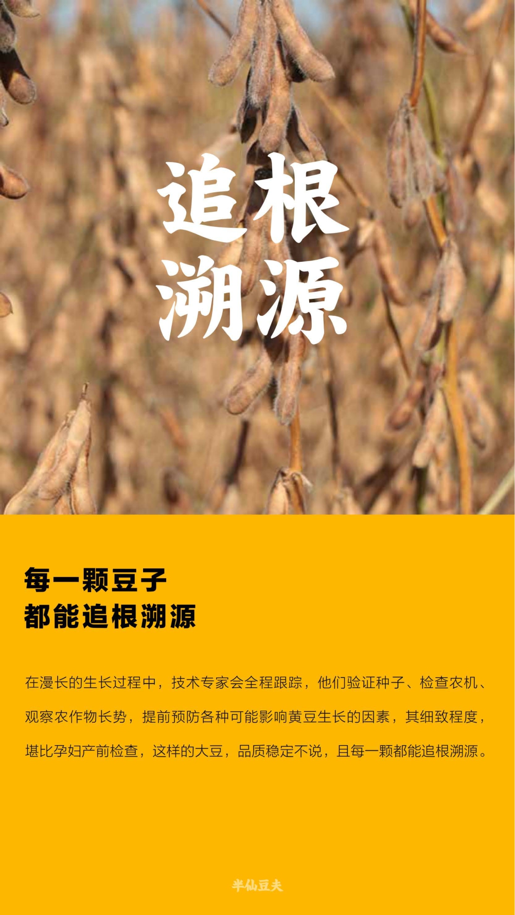 半仙豆夫品牌手册.pdf