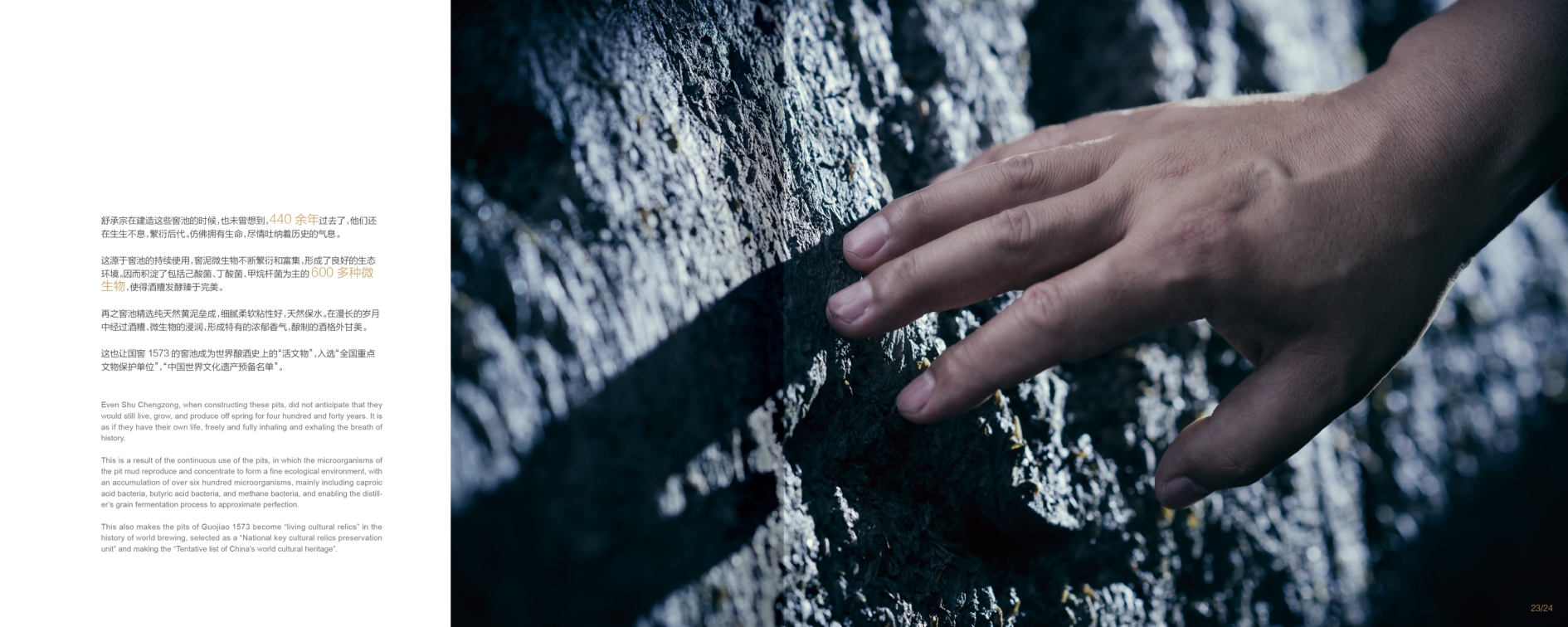 品牌手册丨泸州老窖.pdf