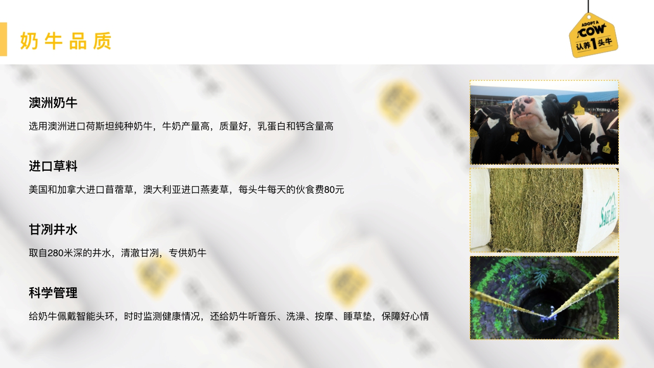 认养一头牛品牌介绍+合作案例.pdf