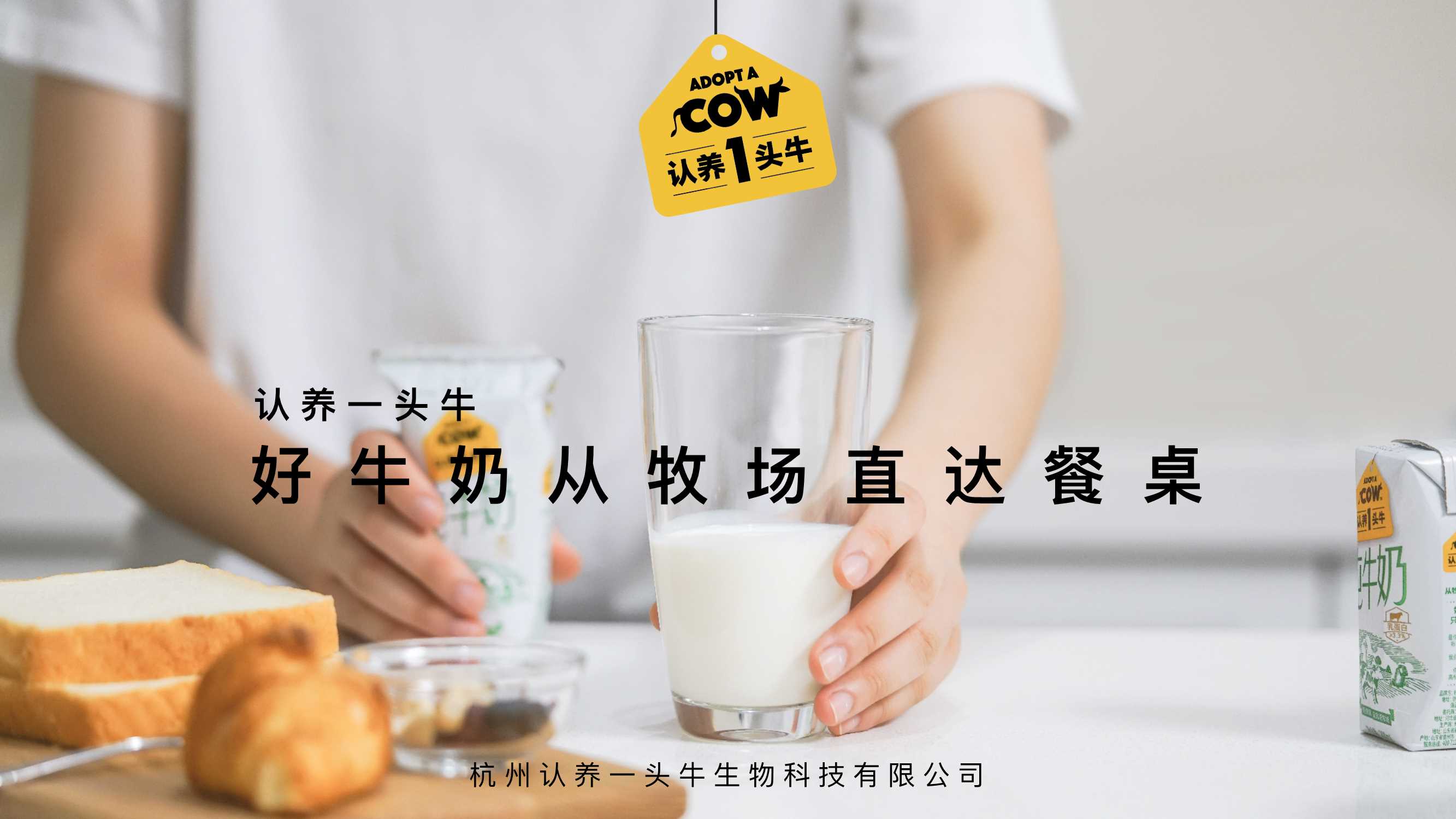 认养一头牛品牌介绍+合作案例.pdf