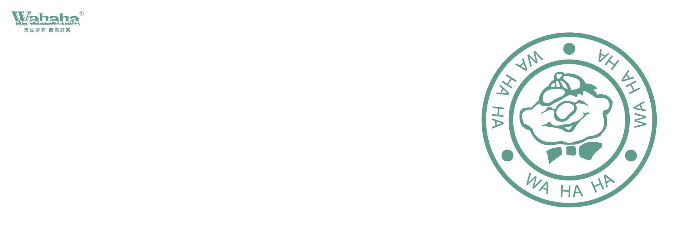 娃哈哈茶饮项目品牌手册.pdf