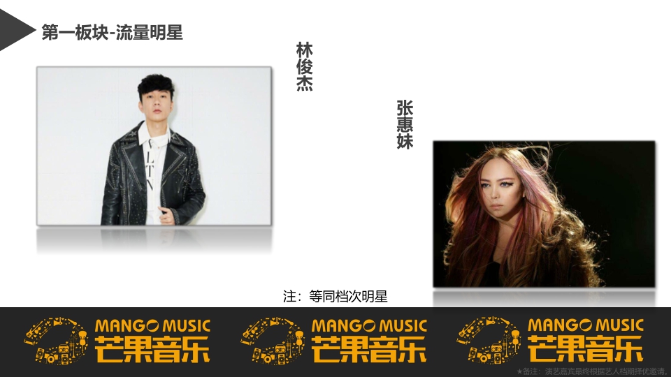 芒果音乐节招商方案.pdf