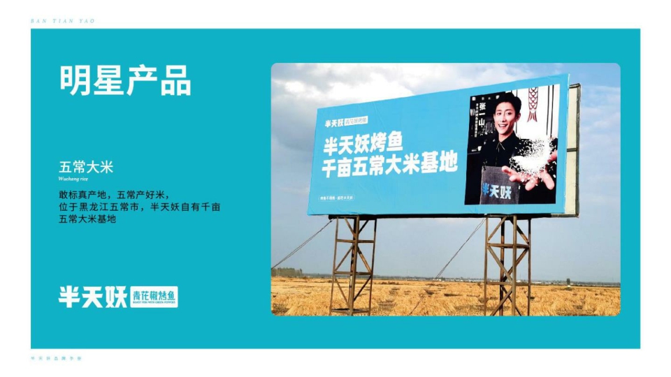 2022-半天妖青花椒烤鱼品牌手册-23页.pdf