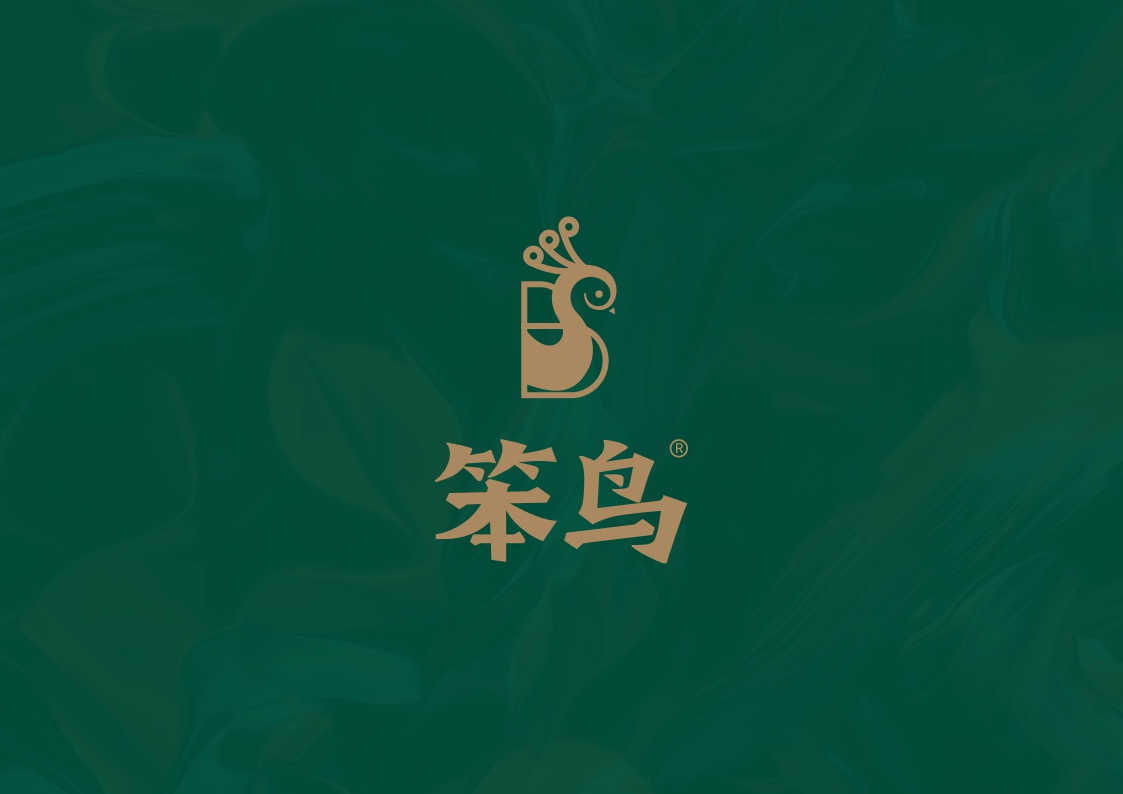 笨鸟鲍鱼鸡煲餐饮品牌手册.pdf