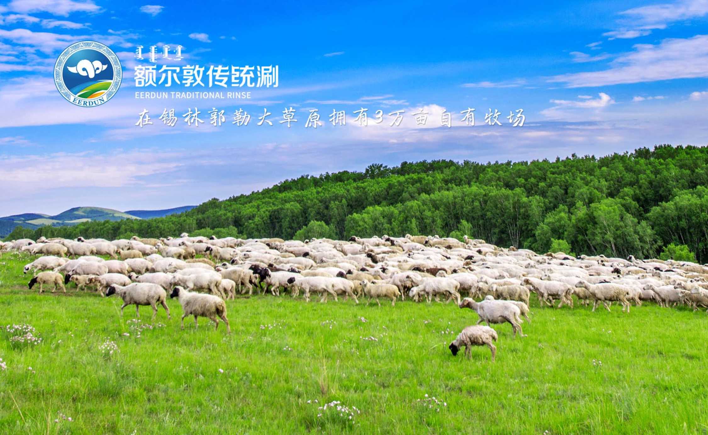 额尔敦传统唰火锅品牌介绍.pdf