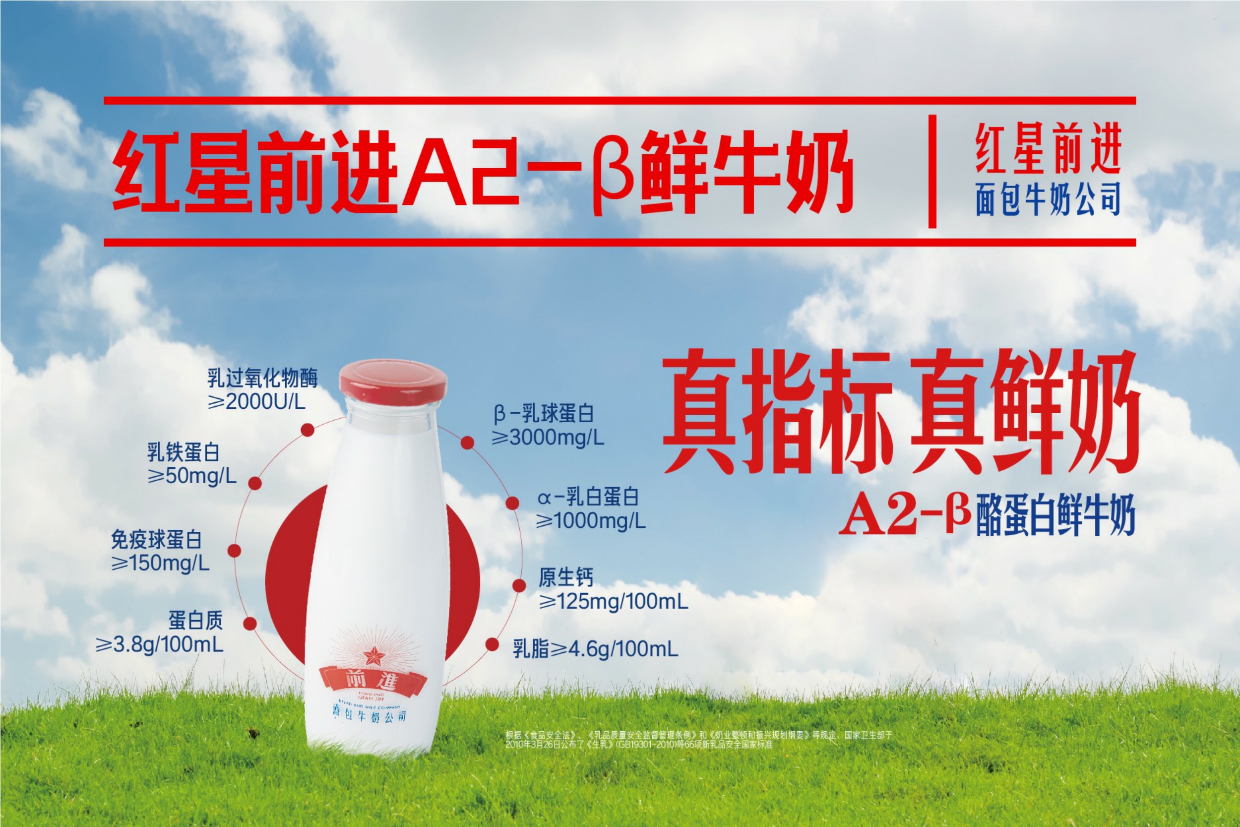 红星前进品牌手册2024.pdf