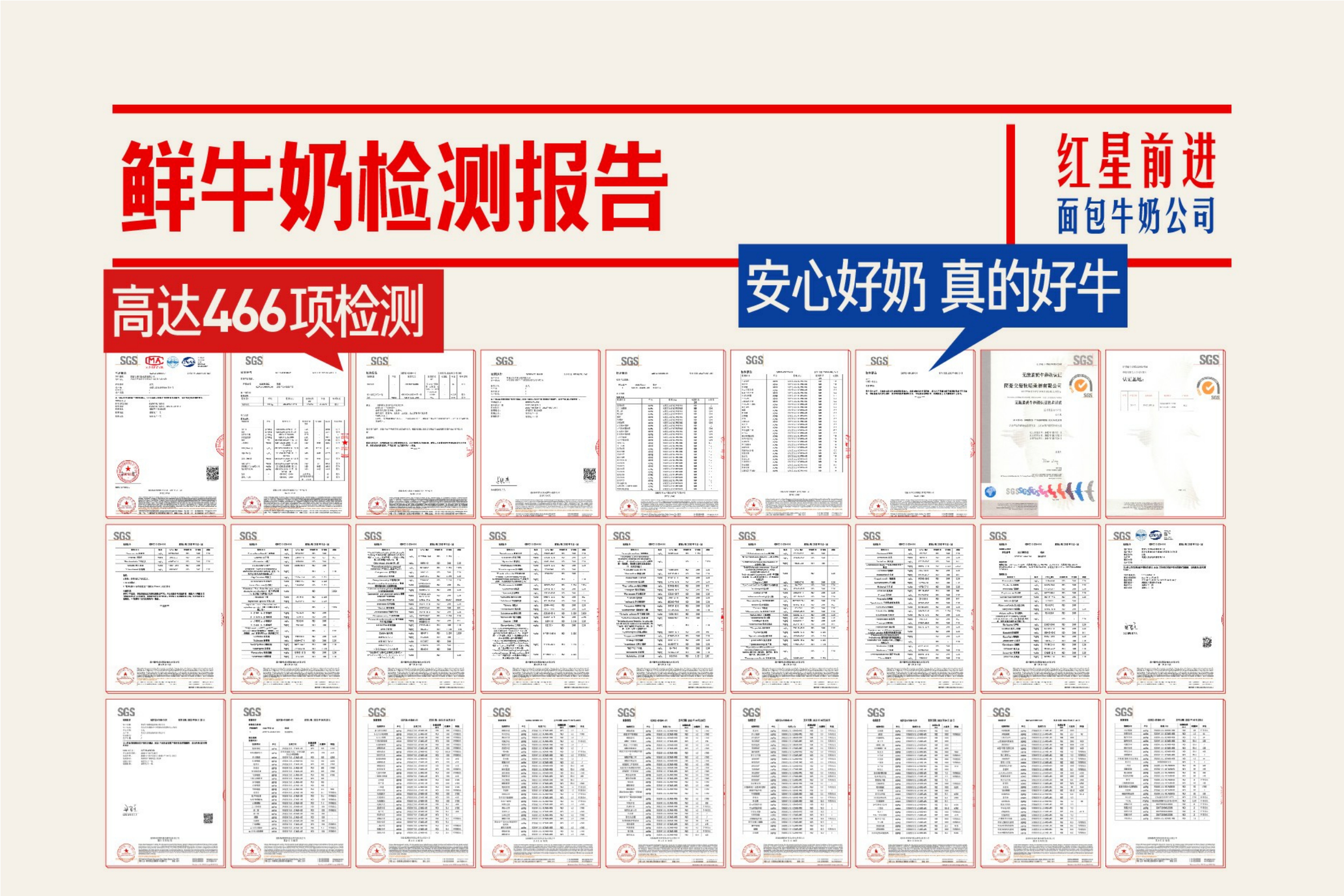 红星前进品牌手册2024.pdf
