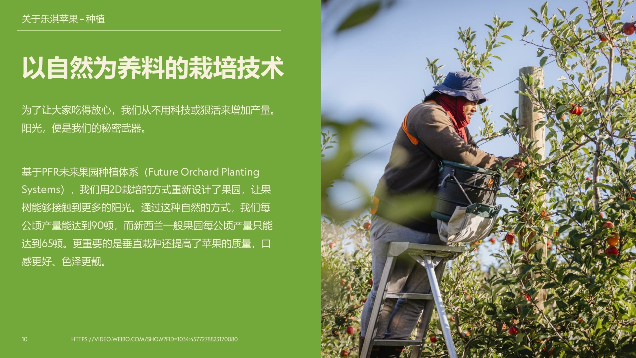 乐淇苹果品牌介绍.pdf