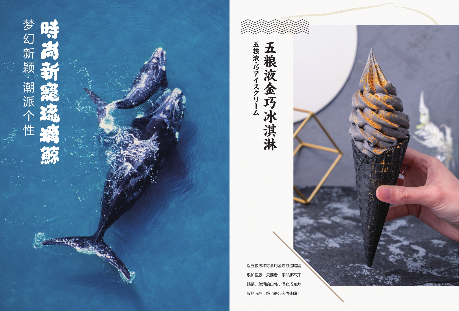 琉璃鲸产品画册.pdf