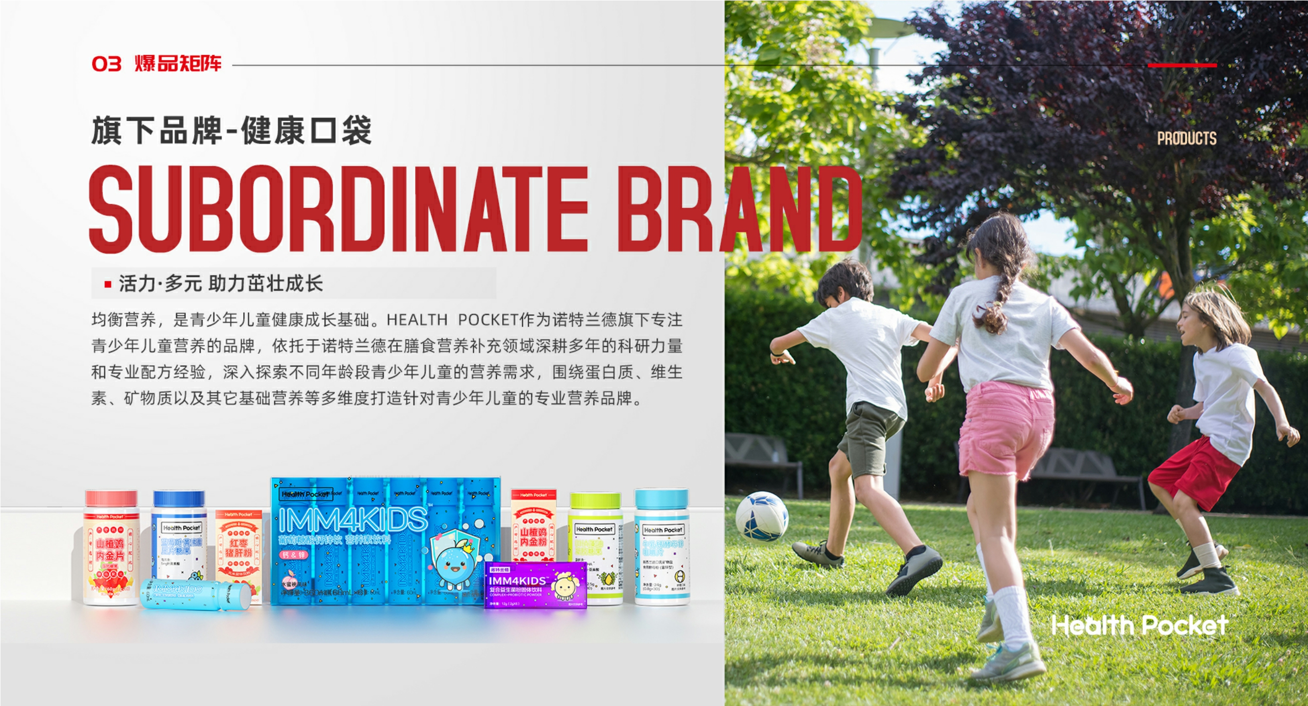 诺特兰德-2023-膳食保健益生菌-品牌手册.pdf