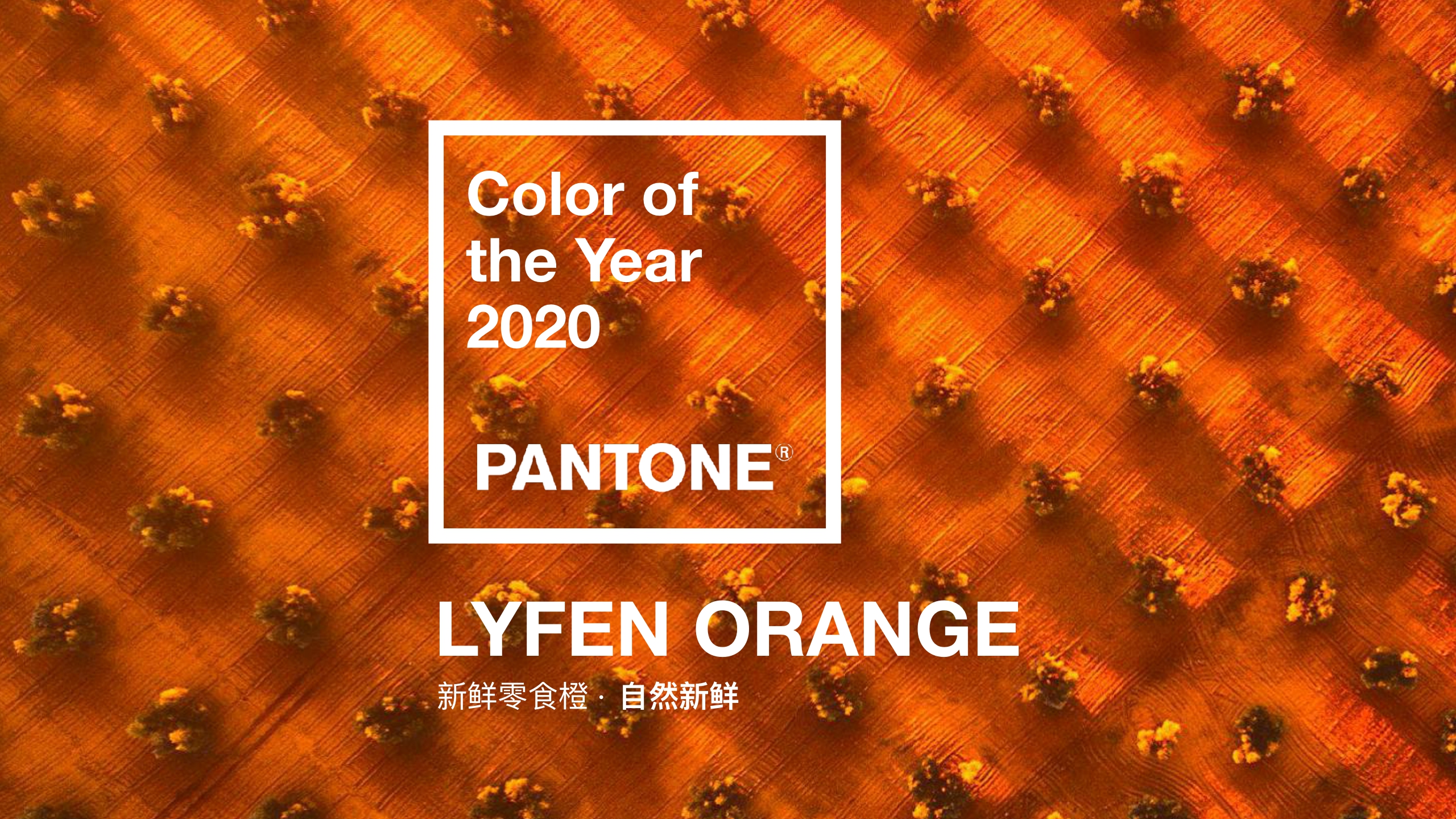 全新来伊份零食品牌手册.pdf