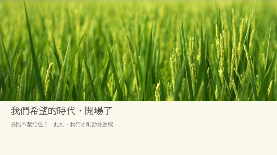 台湾农业文创食品案例-掌声谷粒.pdf