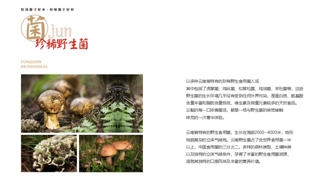 云魁-品牌PGC手册.pptx