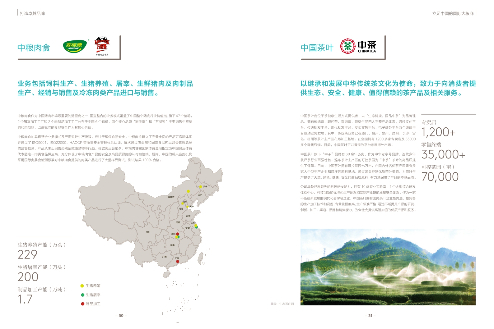 中粮集团中文宣传册.pdf