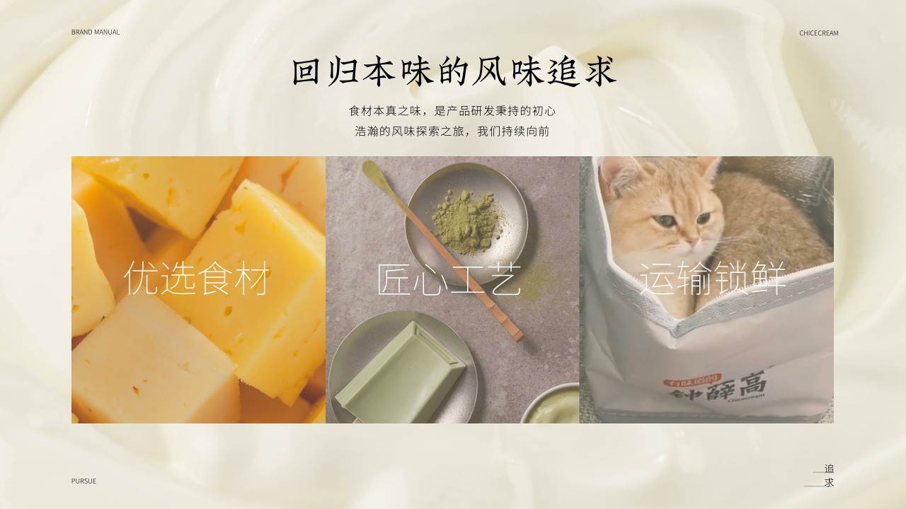 钟薛高品牌手册-1018.pdf