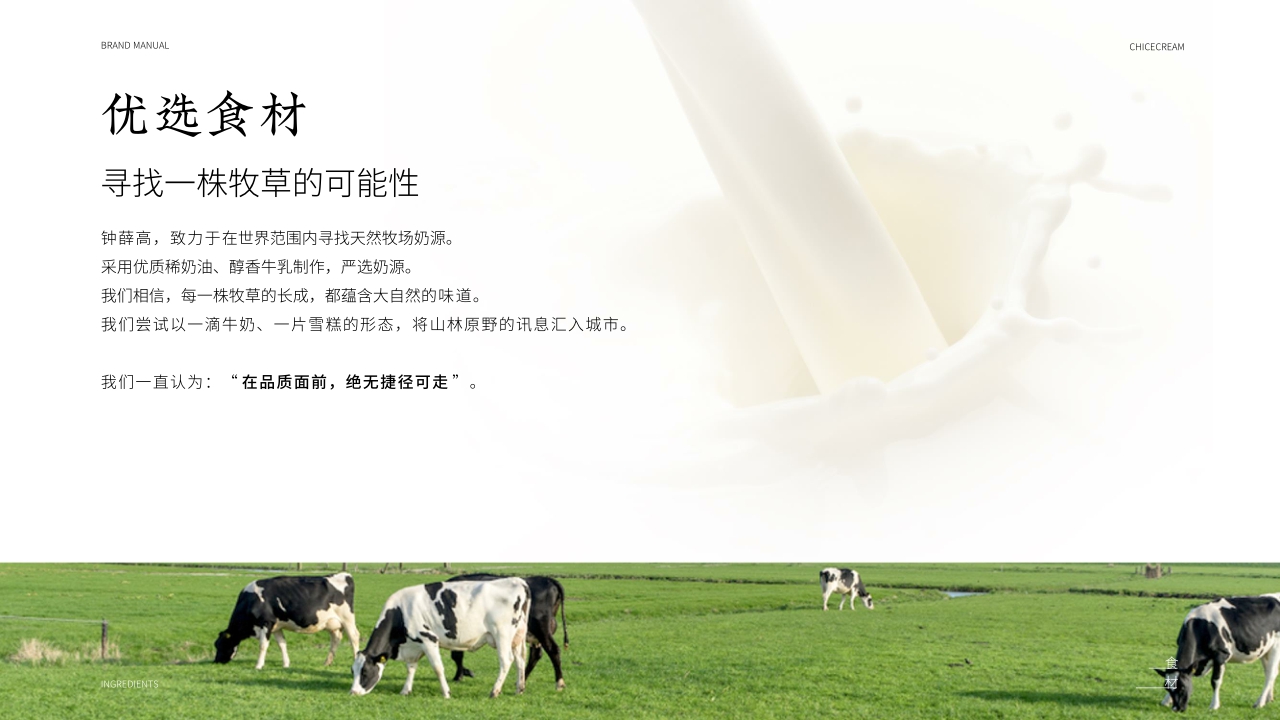 钟薛高品牌手册-1018.pdf