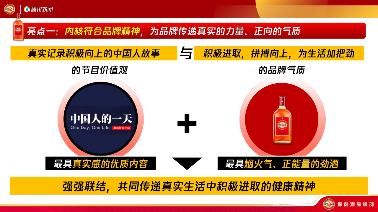 我和劲酒的故事年终复盘.pdf