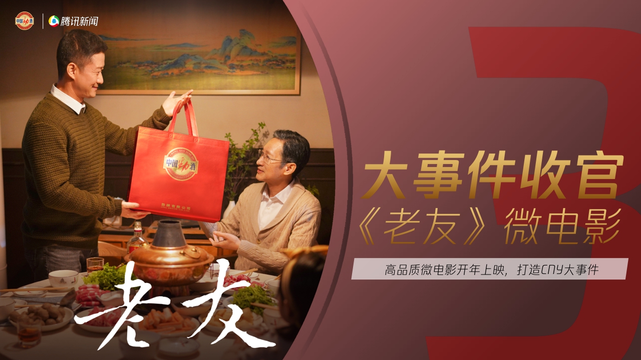 我和劲酒的故事年终复盘.pdf