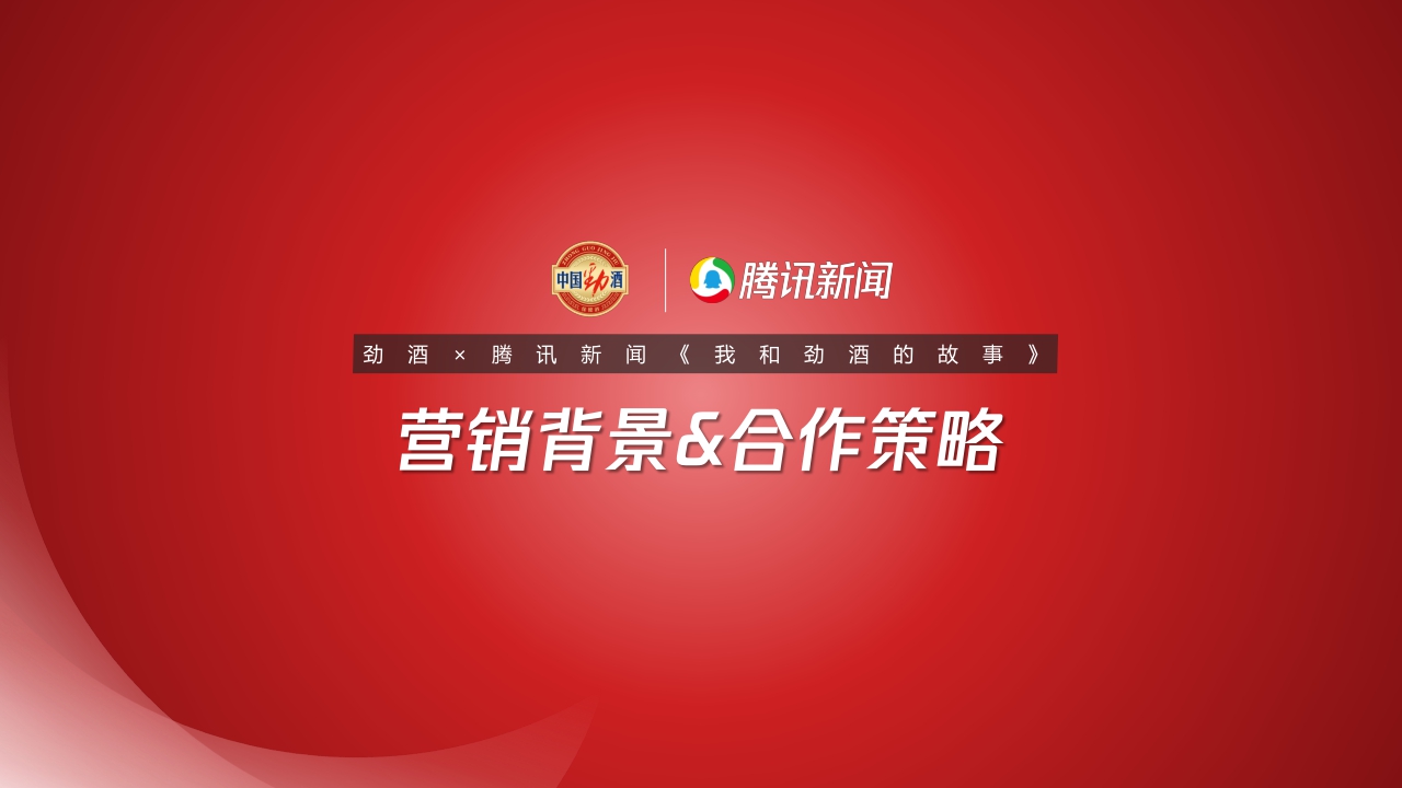 我和劲酒的故事年终复盘.pdf