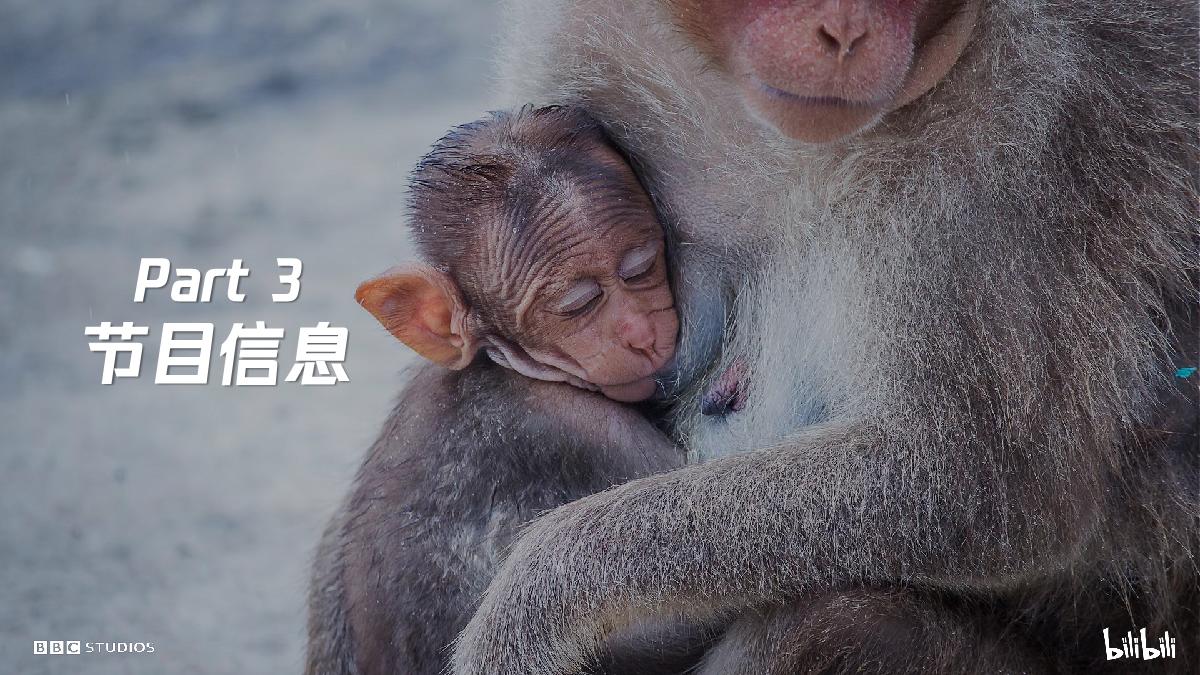 《地球脉动3》招商通案-fin.pdf