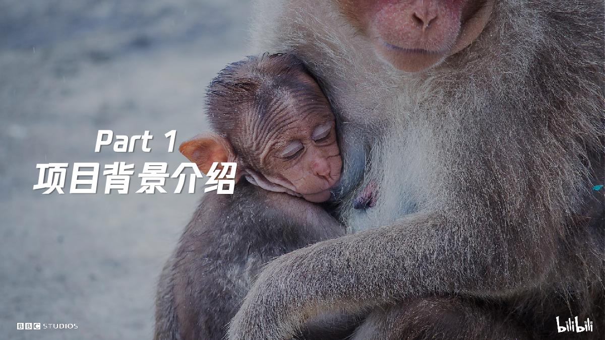 《地球脉动3》招商通案-fin.pdf