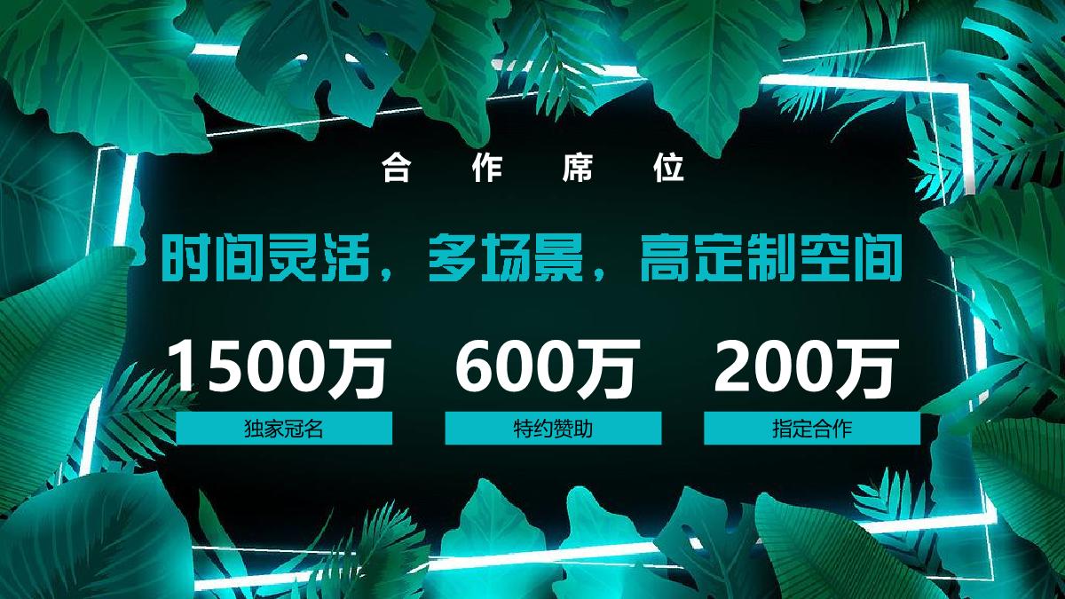 《霓虹森林派对》招商方案.pdf