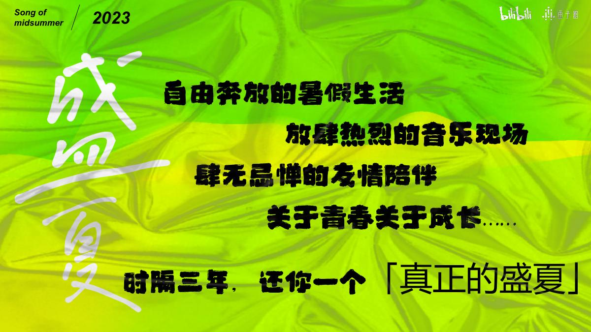 《盛夏之歌》招商方案.pdf