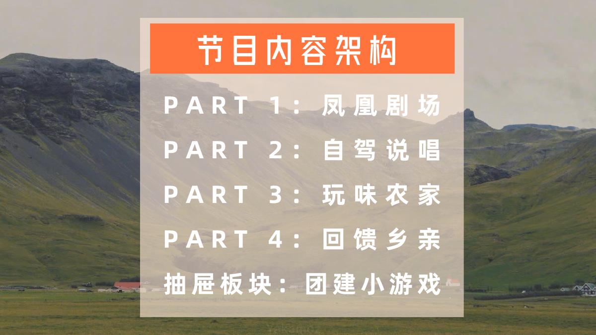 2023bilibili自制综艺《凤凰到处飞》招商方案.pdf