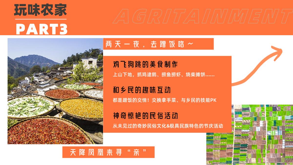 2023bilibili自制综艺《凤凰到处飞》招商方案.pdf