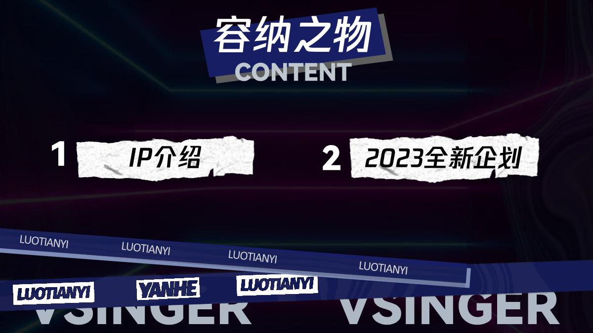 2023Vsinger招商通案.pdf
