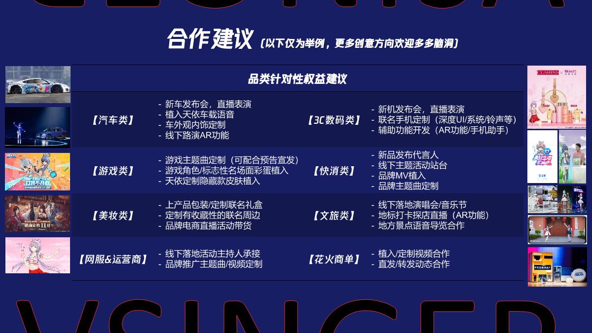 2023Vsinger招商通案.pdf