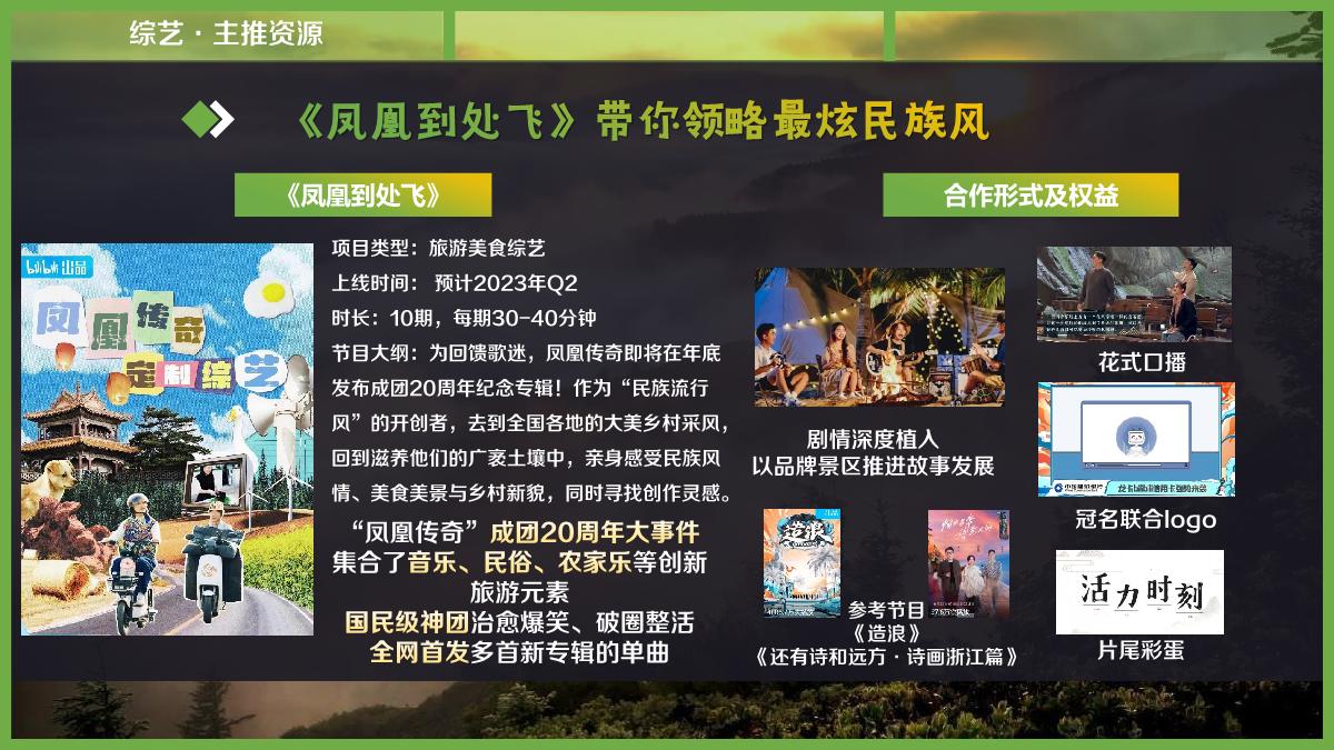2023文旅行业bilibili营销合作品牌通案-对外通发.pdf