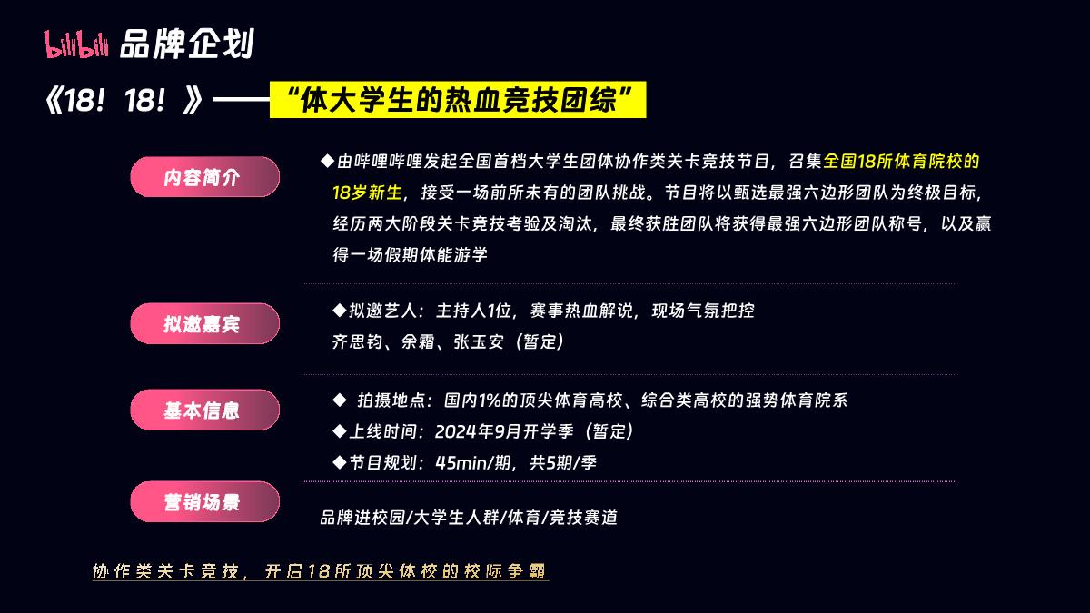 2024bilibili OGV品牌企划储备项目通案-0624.pdf