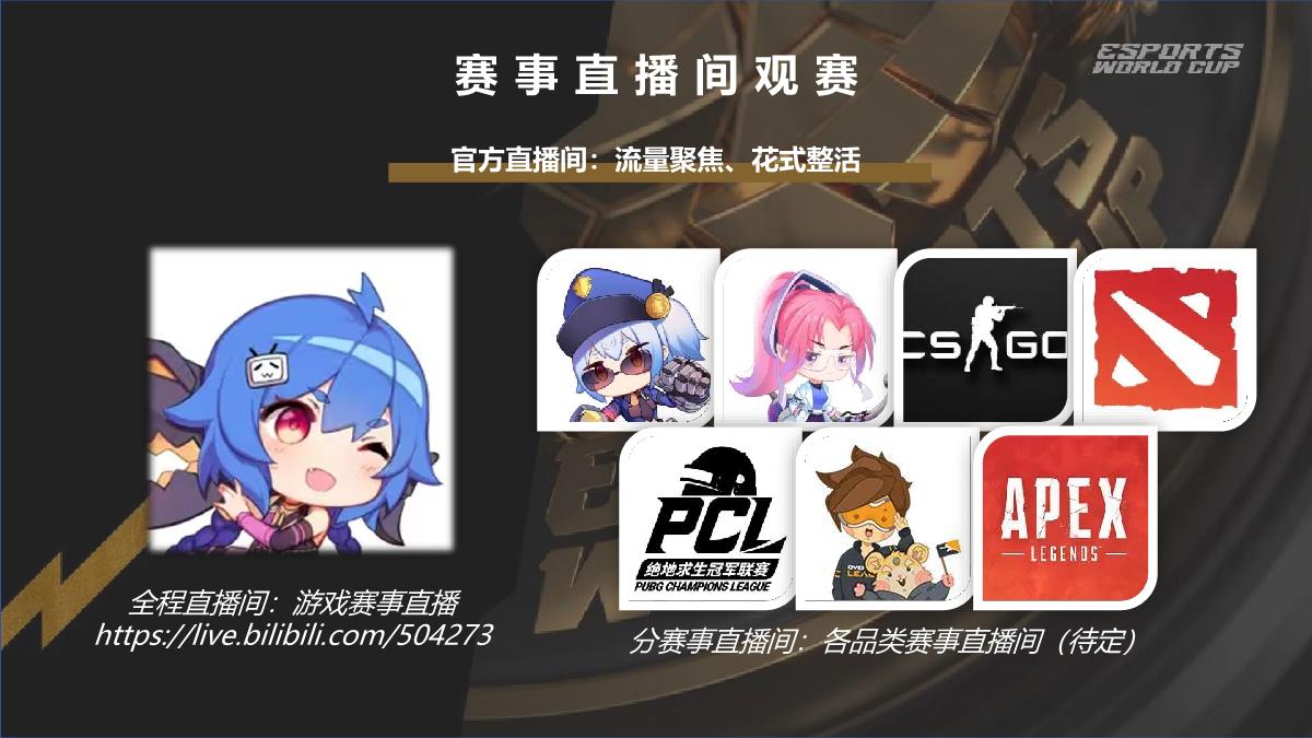 2024bilibili 沙特电竞世界杯招商合作方案.pdf